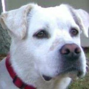 Meet your Posher, Beverly